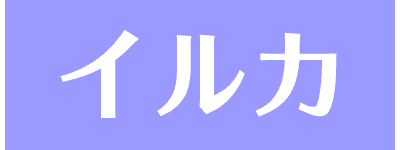 イルカ