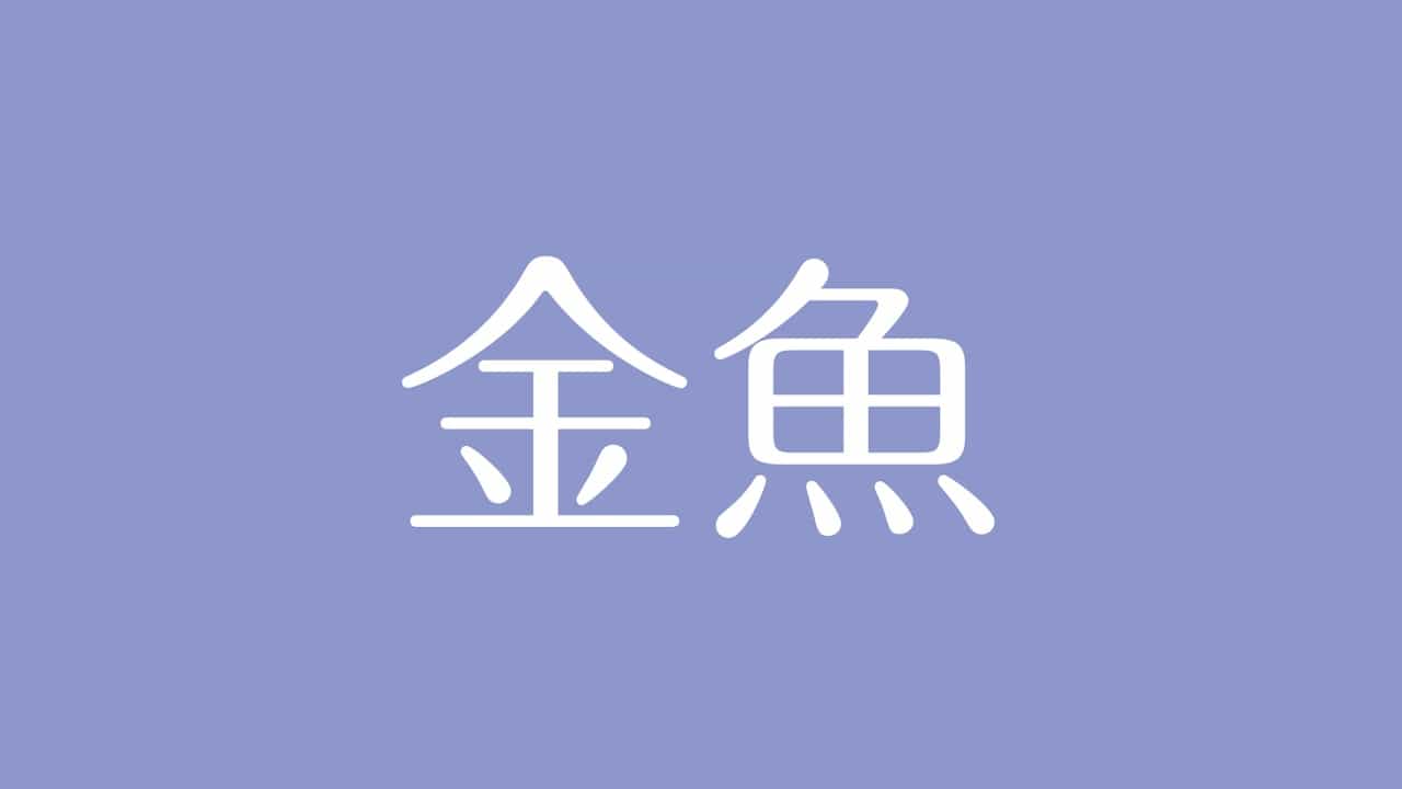 夢占い 金魚の意味は 幸福や金運 未来のパートナーを示す