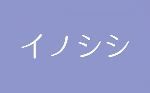 夢占い 豚の意味は 豊かさや金運の上昇 時に欲望や怠惰な生活を示す