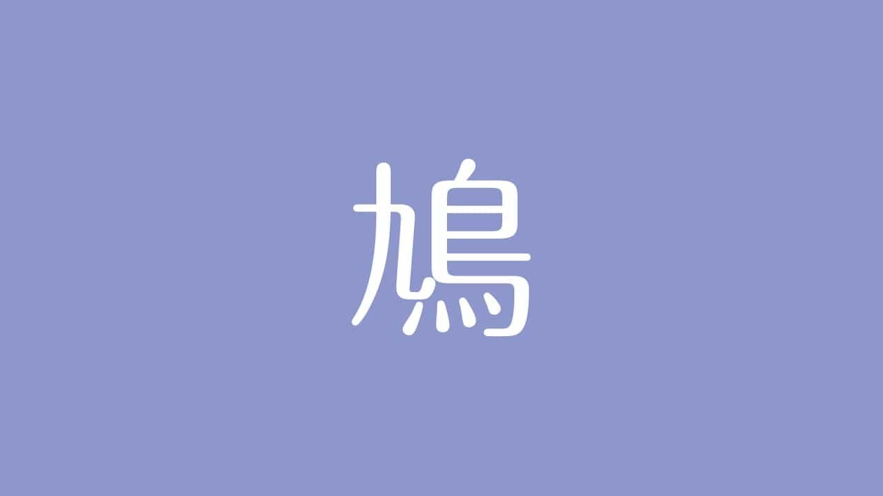 夢占い】鳩の意味は？幸せと愛を伝えるメッセンジャー、たまに凶夢の知らせ