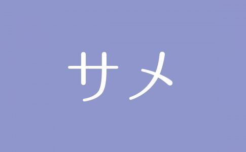 夢占い 釣りの意味は あなたの精神状態や利益を手に入れることを示す