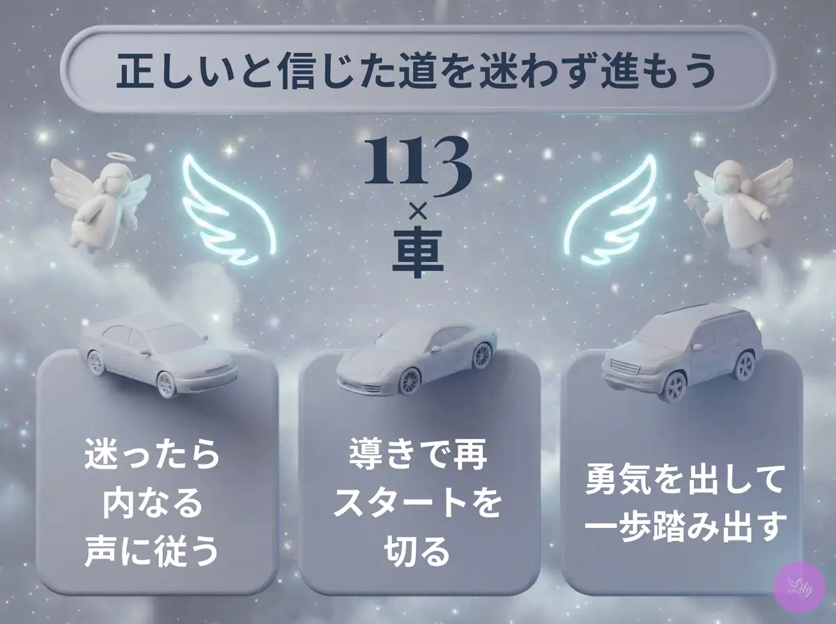 リリーのエンジェルナンバー 113 x 車