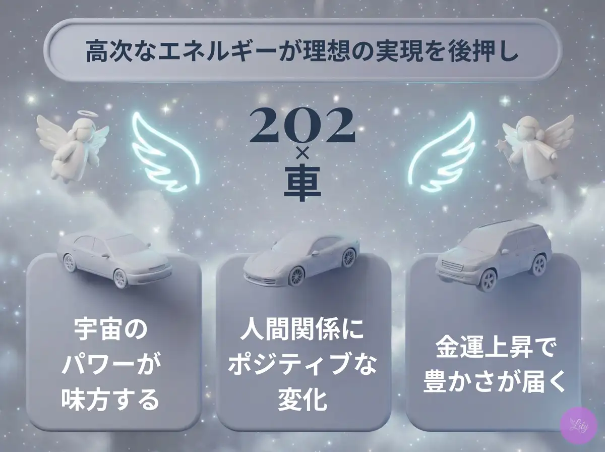リリーのエンジェルナンバー 202 x 車