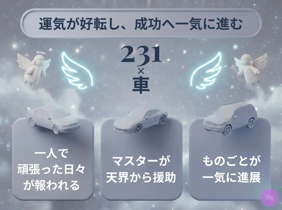 リリーのエンジェルナンバー 231 x 車