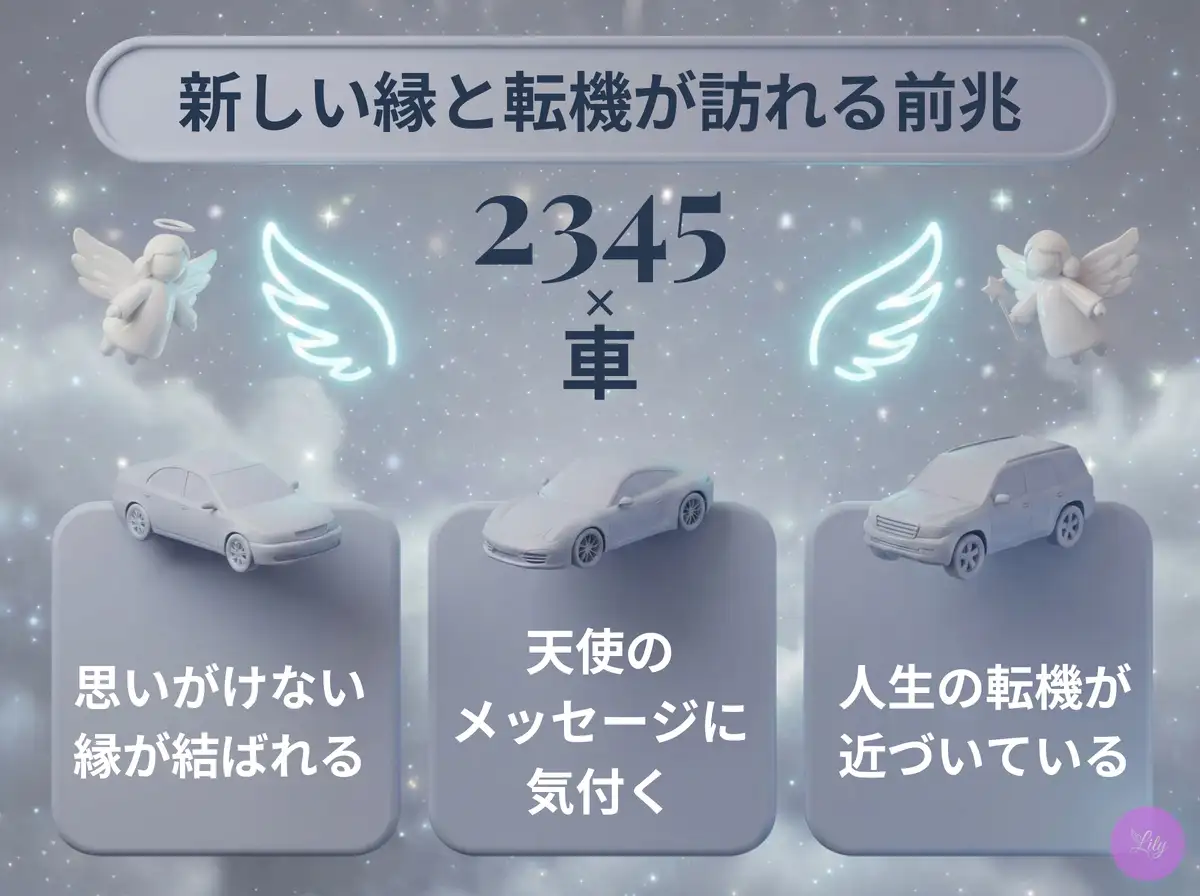 リリーのエンジェルナンバー 2345 x 車