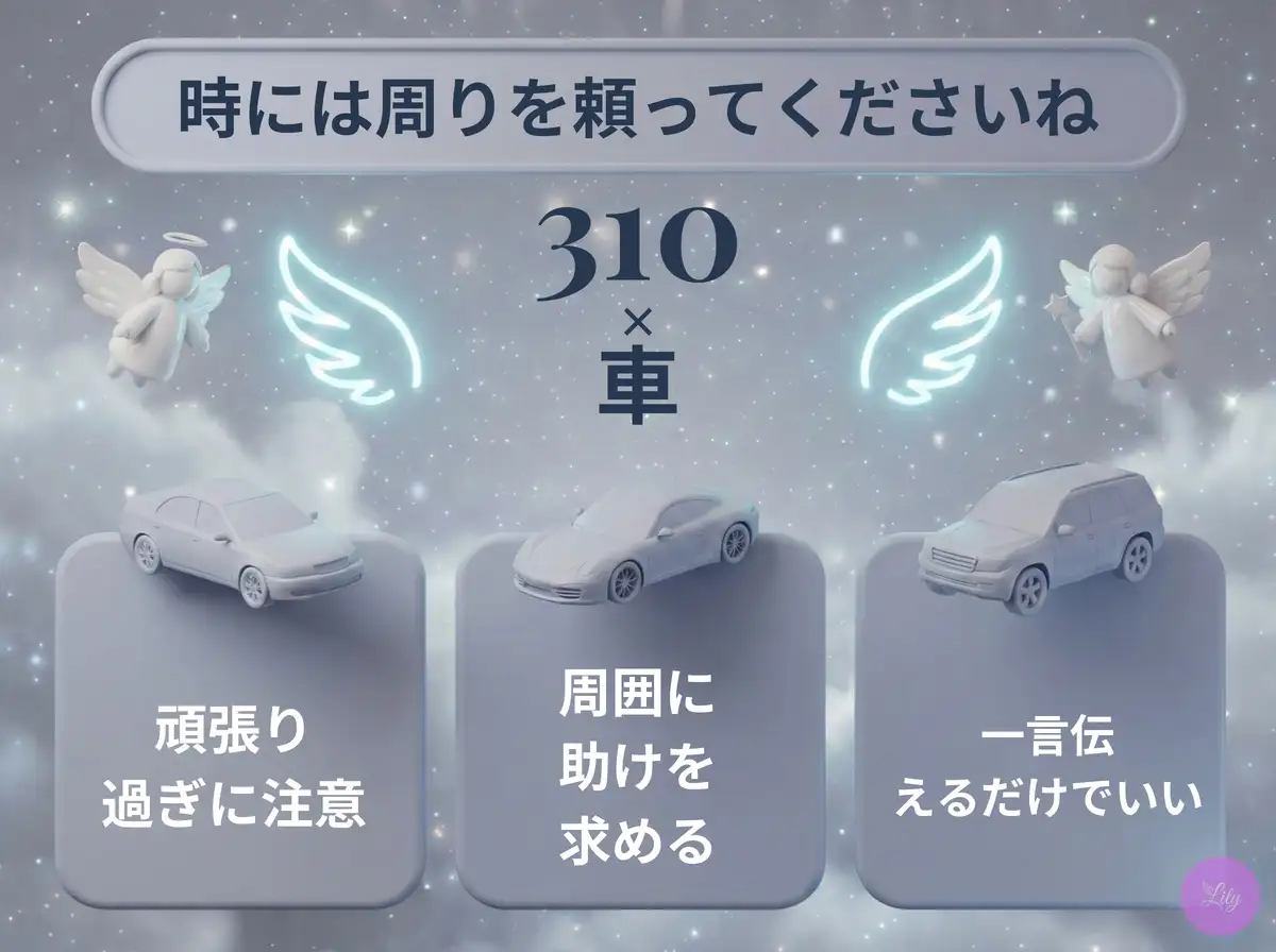 リリーのエンジェルナンバー 310 x 車