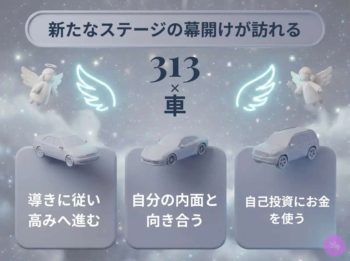リリーのエンジェルナンバー 313 x 車