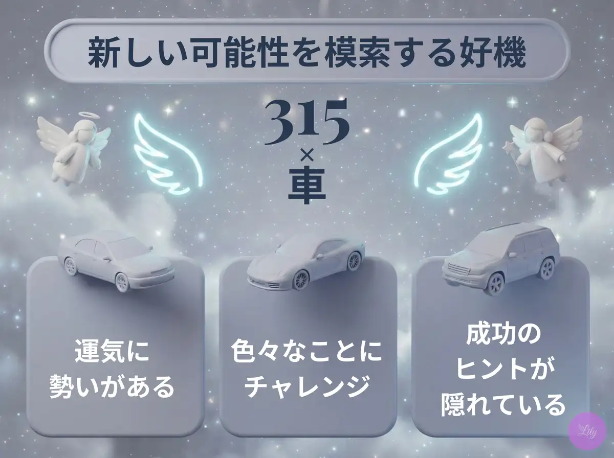 リリーのエンジェルナンバー 315 x 車