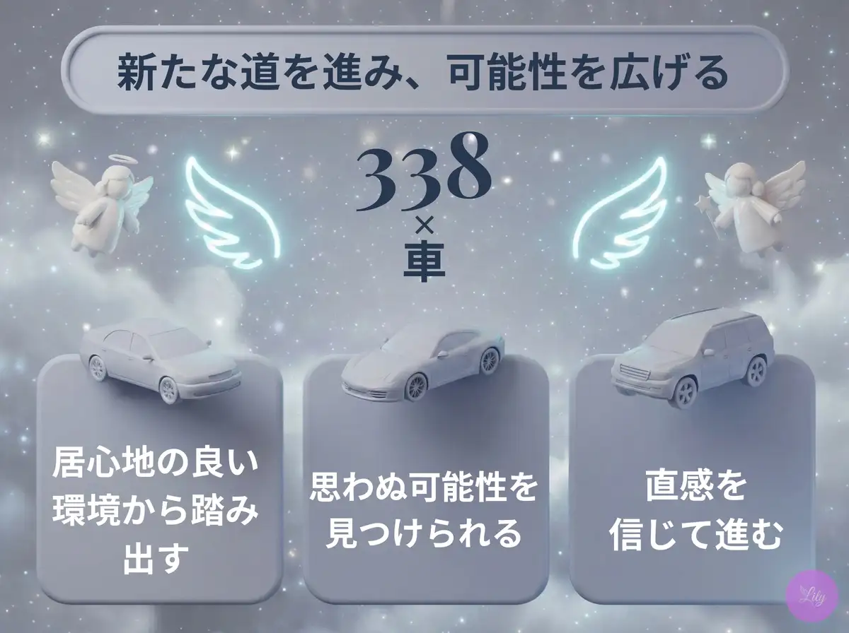 リリーのエンジェルナンバー 338 x 車