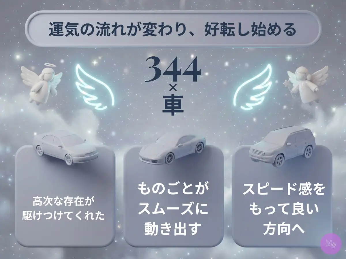 リリーのエンジェルナンバー 344 x 車