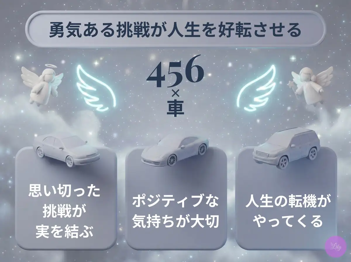 リリーのエンジェルナンバー 456 x 車
