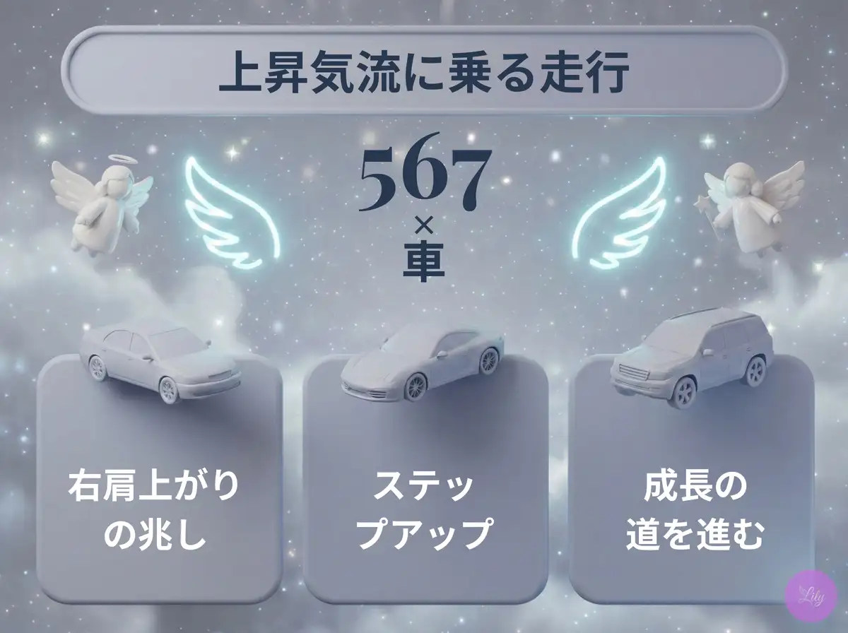 リリーのエンジェルナンバー 567 x 車