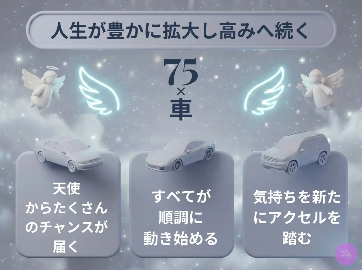リリーのエンジェルナンバー 75 x 車
