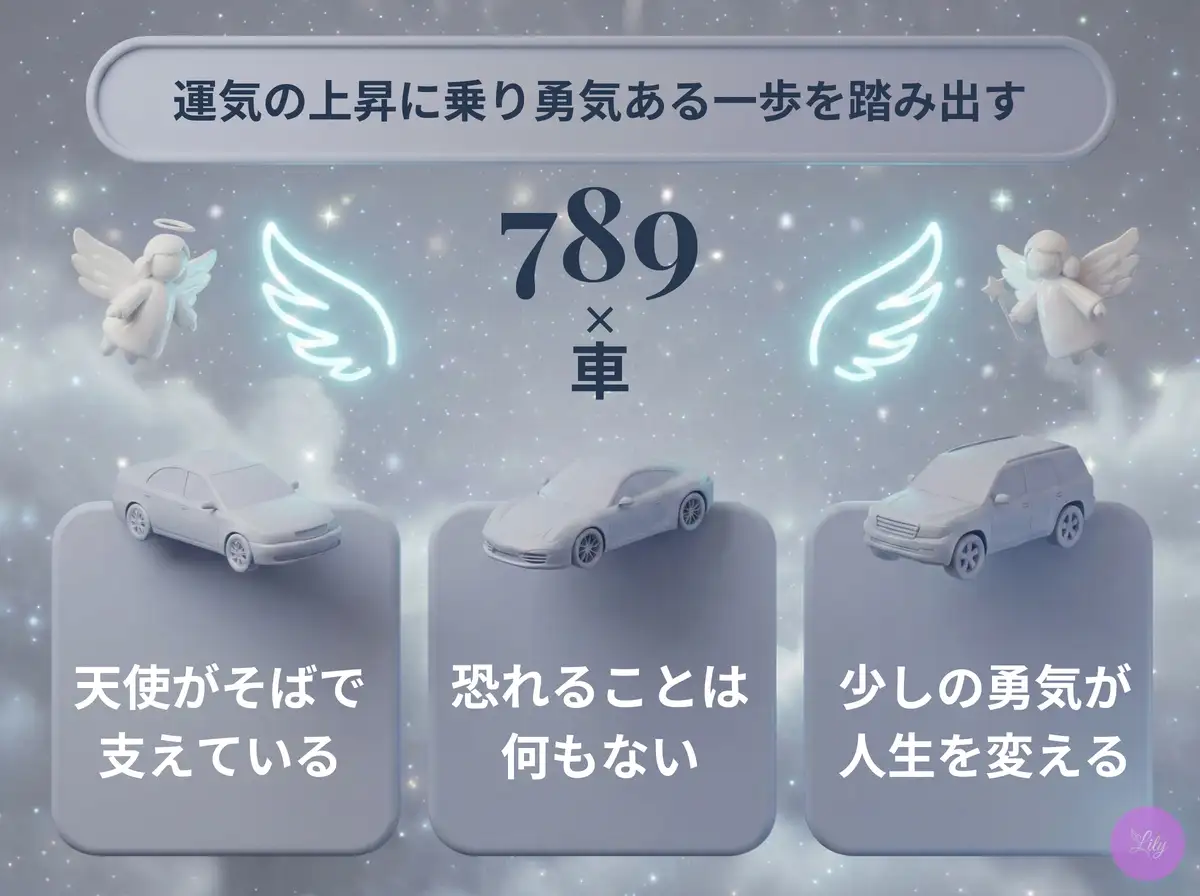 リリーのエンジェルナンバー 789 x 車